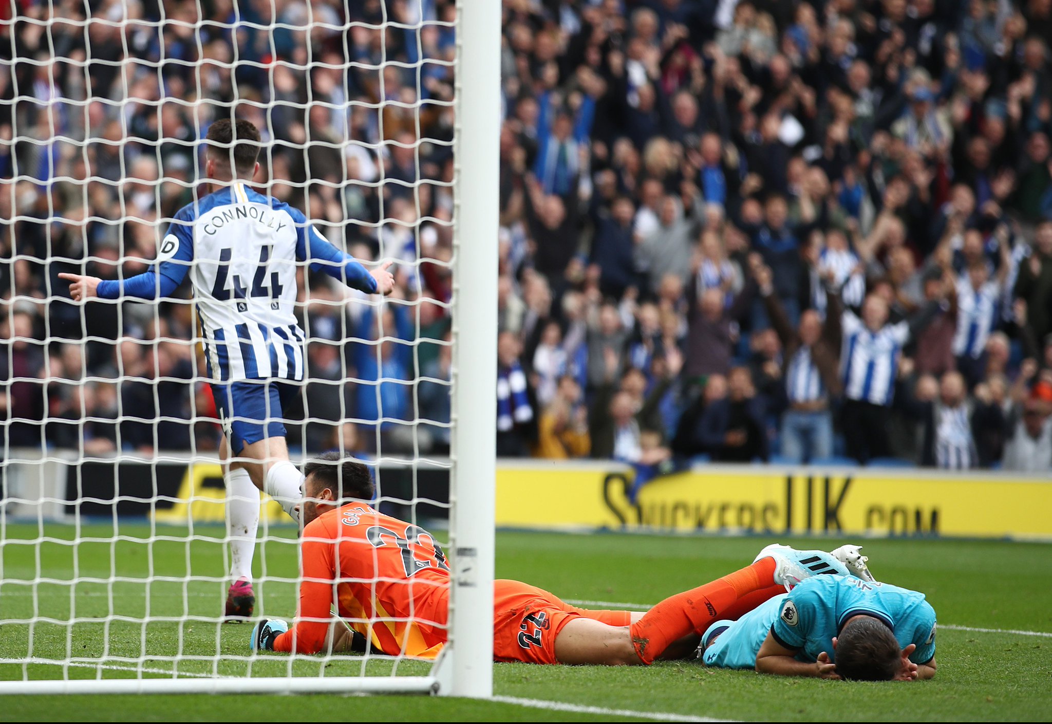 僅是哈維的 僅是哈維的