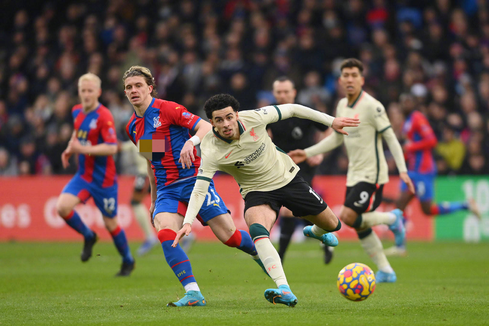 落實需要他 落實需要他